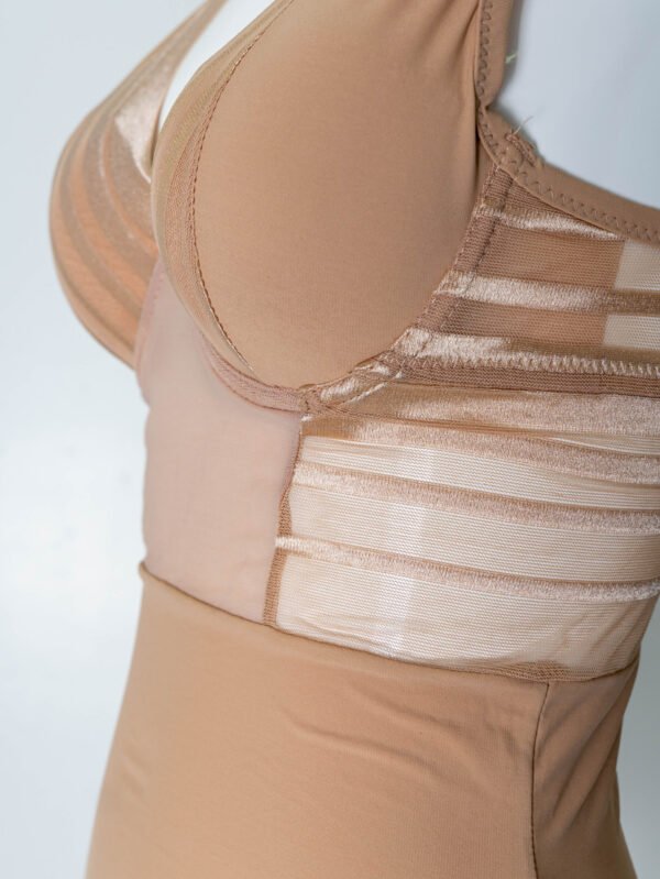 Tan Teddy - Image 3